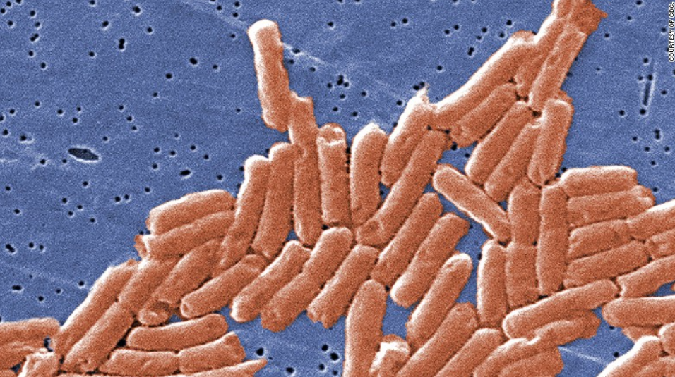 美国沙门氏菌疫情已致43州640人感染 来源或为洋葱