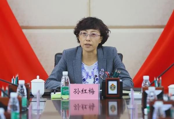 孙红梅任新疆副主席 系全国第3位70后省部级女干部
