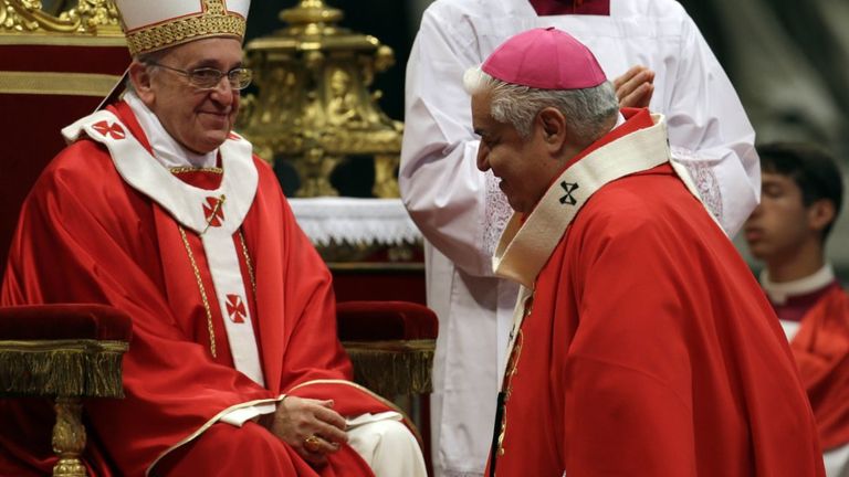 教皇方济各新任命17名红衣主教