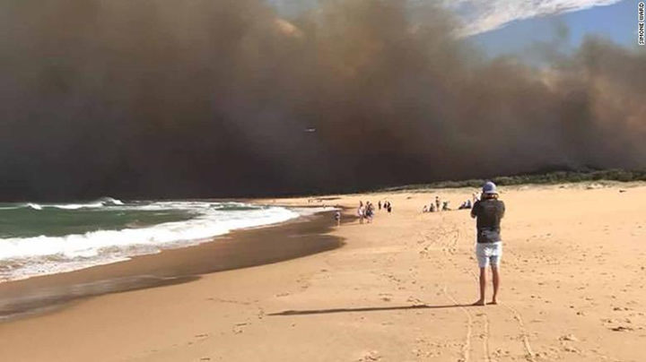 澳大利亚新南威尔士州发生丛林大火