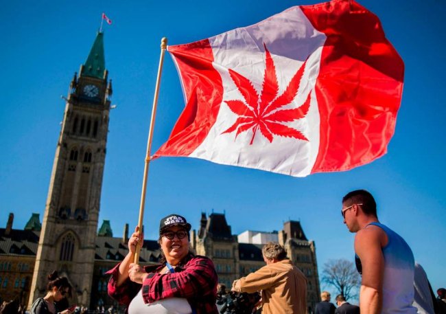 加拿大通过大麻合法化法案