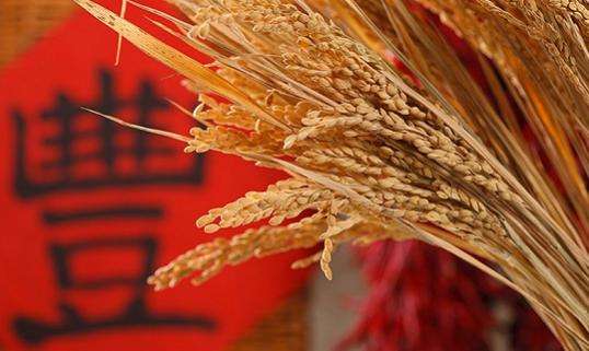 农业农村部：节俭庆中国农民丰收节 避免铺张浪费