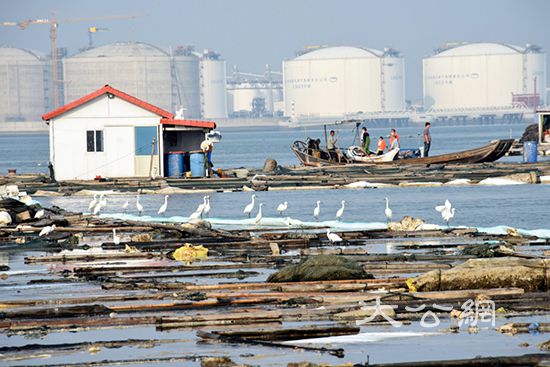 福建泉州石化泄漏多日 民众盼出台水质及海产品控数据