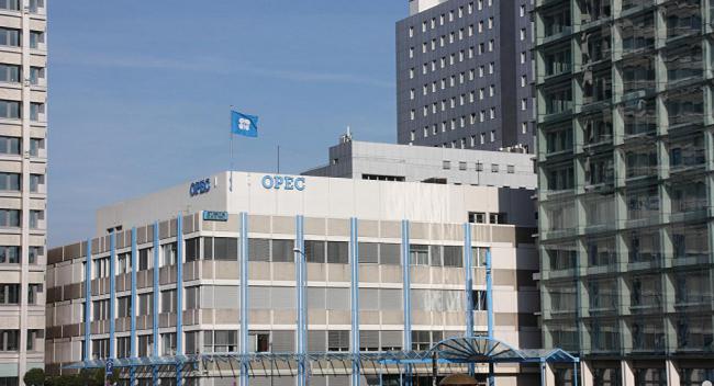俄专家:2019年美国或加强与欧佩克斗法
