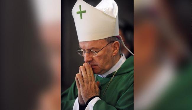 梵蒂冈驻法国大使因性侵被调查