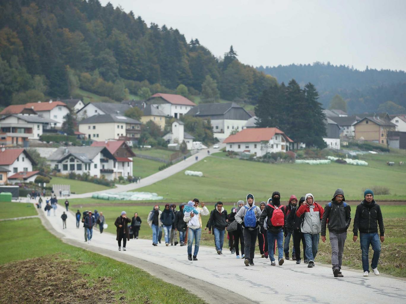 奥地利：难民谎报国籍将被关押并罚款