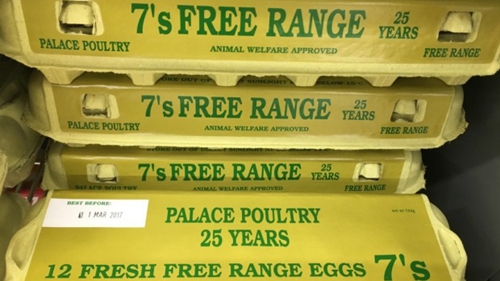 惊天丑闻！新西兰市面售卖的数百万“走地鸡蛋”竟是笼养鸡蛋！