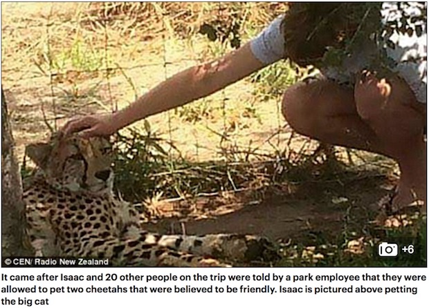 新西兰少年南非动物园被猎豹袭击 动物园全额退款