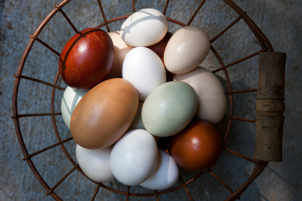 为什么美国人要冷藏鸡蛋？