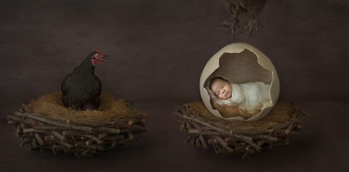 澳洲举办新生儿摄影大赛 创意作品尽显萌娃百态
