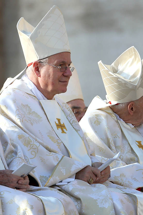 维也纳大主教：难民危机下的基督教将面临危险