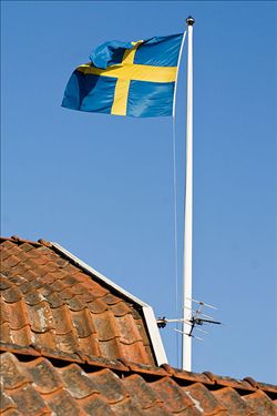 瑞典拟修改法律加强武器管理