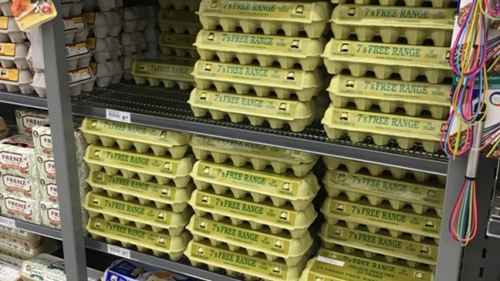 惊天丑闻！新西兰市面售卖的数百万“走地鸡蛋”竟是笼养鸡蛋！