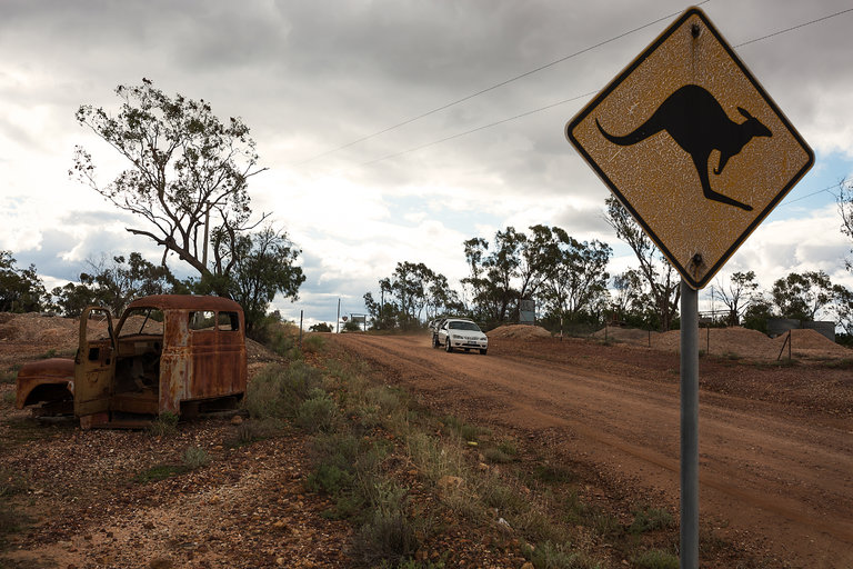 12岁男孩孤身开车横跨澳大利亚 被警方拦下时已是深夜