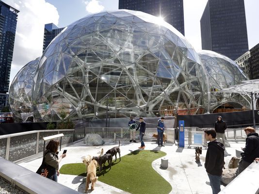 亚马逊在西雅图建造了一座温室丛林办公室