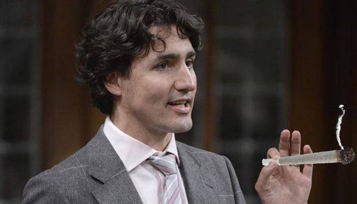 1464931788953065824.jpg Justin-Trudeau-to-Legalize-Marijuana-in-Canada_副本100.jpg